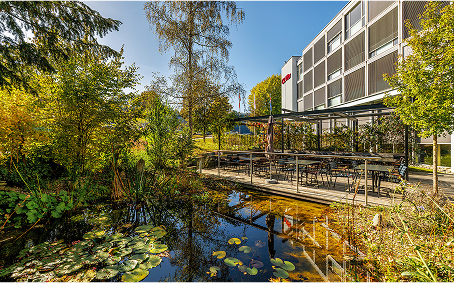 Sustentabilidade na CSL