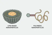 Die Revolution in der Nanomedizin 